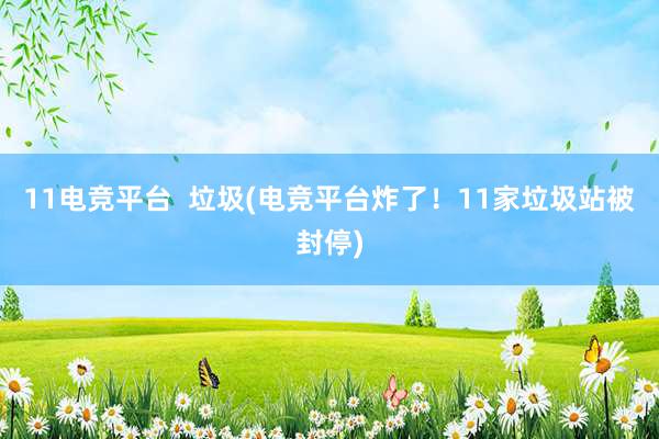 11电竞平台  垃圾(电竞平台炸了！11家垃圾站被封停)