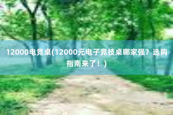 12000电竞桌(12000元电子竞技桌哪家强？选购指南来了！)