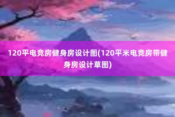 120平电竞房健身房设计图(120平米电竞房带健身房设计草图)