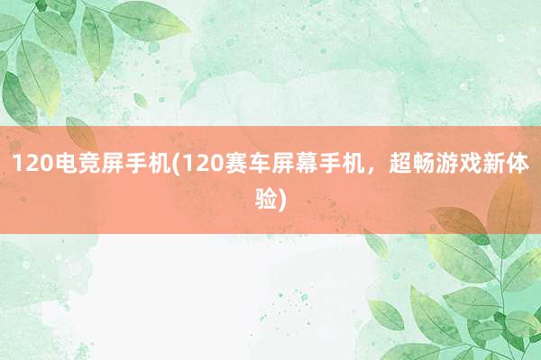 120电竞屏手机(120赛车屏幕手机，超畅游戏新体验)