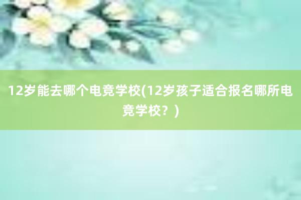 12岁能去哪个电竞学校(12岁孩子适合报名哪所电竞学校？)