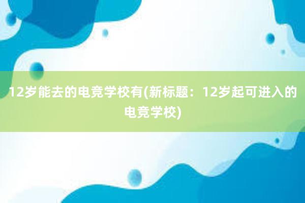 12岁能去的电竞学校有(新标题：12岁起可进入的电竞学校)