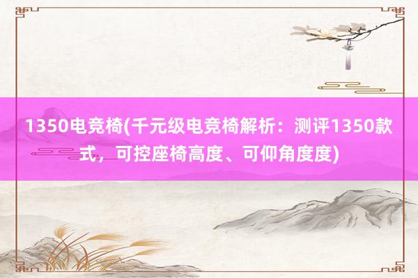 1350电竞椅(千元级电竞椅解析：测评1350款式，可控座椅高度、可仰角度度)