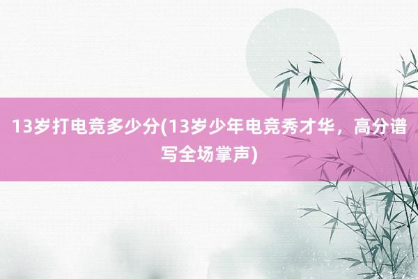 13岁打电竞多少分(13岁少年电竞秀才华，高分谱写全场掌声)