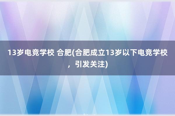 13岁电竞学校 合肥(合肥成立13岁以下电竞学校，引发关注)