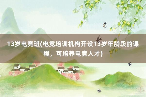 13岁电竞班(电竞培训机构开设13岁年龄段的课程，可培养电竞人才)