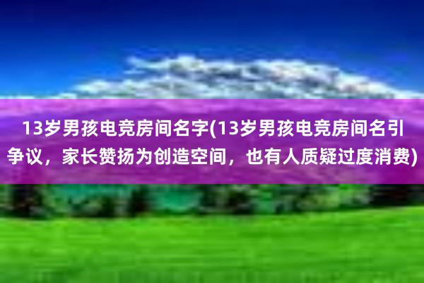 13岁男孩电竞房间名字(13岁男孩电竞房间名引争议，家长赞扬为创造空间，也有人质疑过度消费)