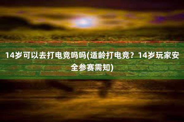 14岁可以去打电竞吗吗(适龄打电竞？14岁玩家安全参赛需知)