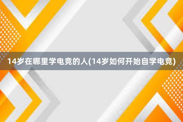 14岁在哪里学电竞的人(14岁如何开始自学电竞)