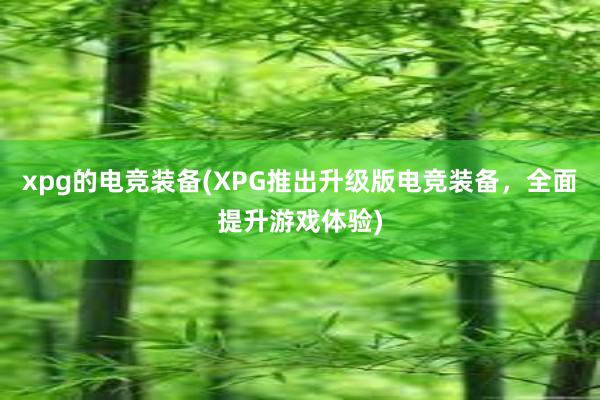 xpg的电竞装备(XPG推出升级版电竞装备，全面提升游戏体验)