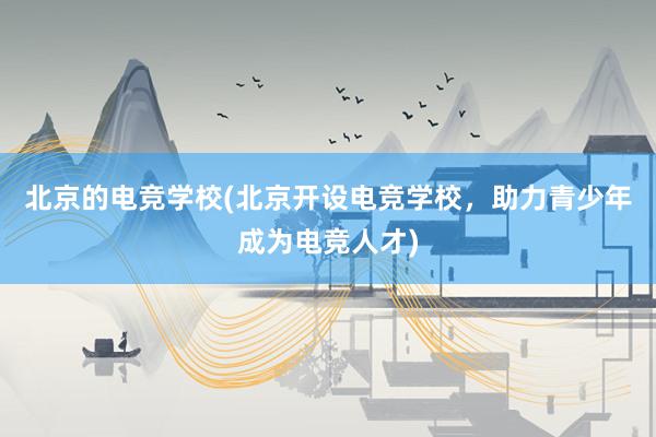 北京的电竞学校(北京开设电竞学校，助力青少年成为电竞人才)