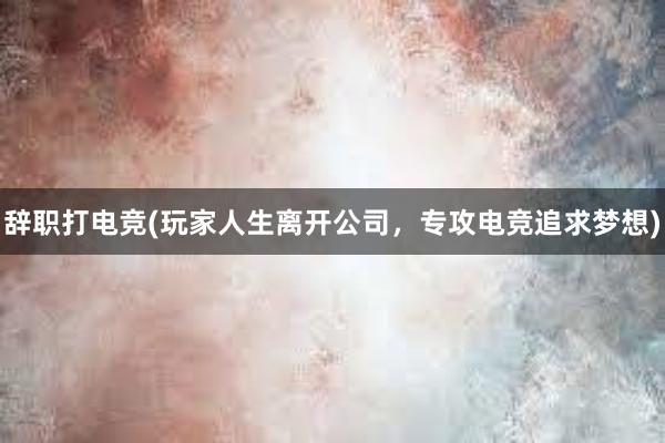 辞职打电竞(玩家人生离开公司，专攻电竞追求梦想)