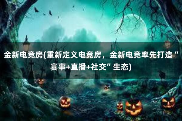 金新电竞房(重新定义电竞房，金新电竞率先打造“赛事+直播+社交”生态)