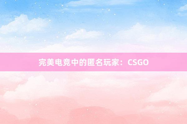 完美电竞中的匿名玩家：CSGO