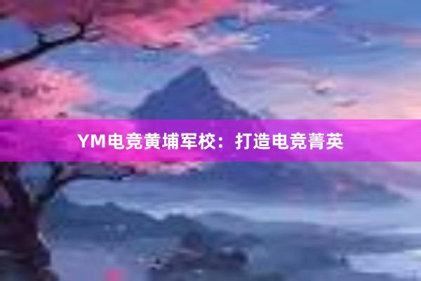 YM电竞黄埔军校：打造电竞菁英