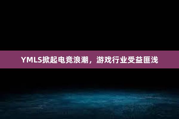 YMLS掀起电竞浪潮，游戏行业受益匪浅