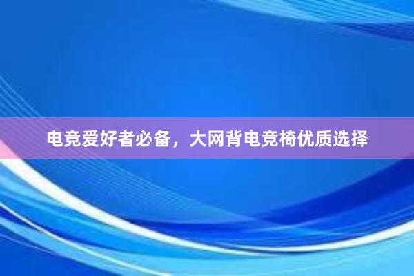 电竞爱好者必备，大网背电竞椅优质选择