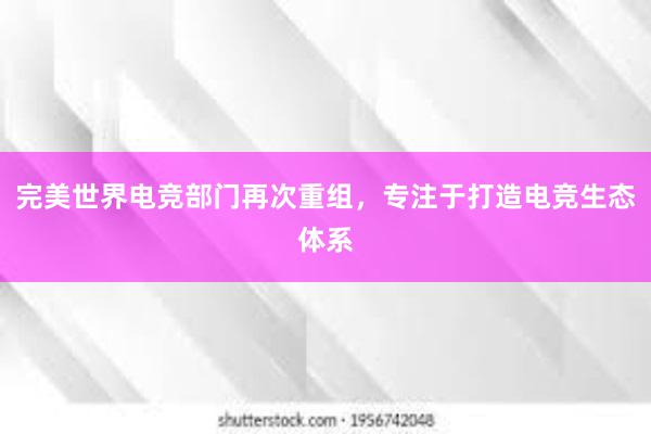 完美世界电竞部门再次重组，专注于打造电竞生态体系