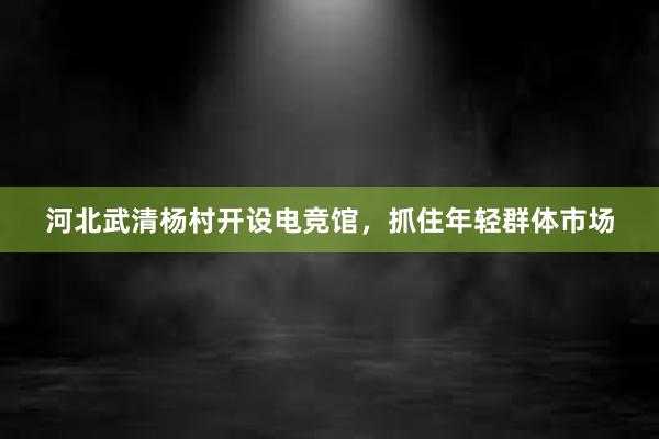 河北武清杨村开设电竞馆，抓住年轻群体市场