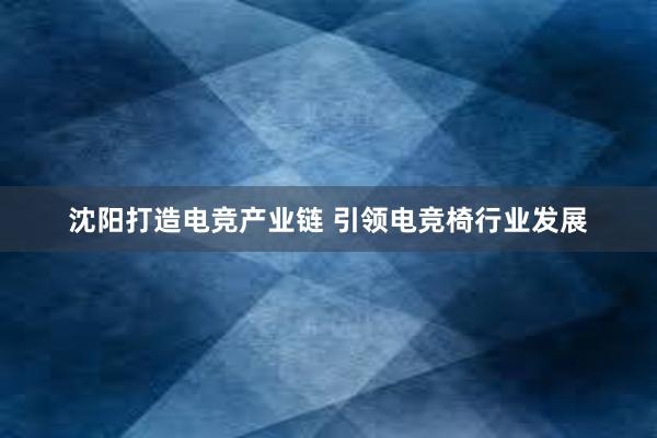 沈阳打造电竞产业链 引领电竞椅行业发展