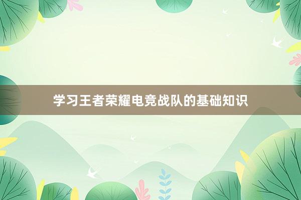 学习王者荣耀电竞战队的基础知识