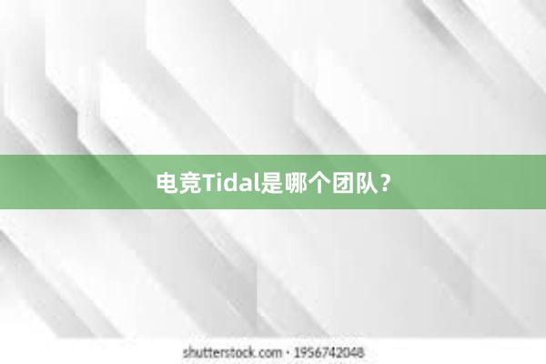 电竞Tidal是哪个团队？