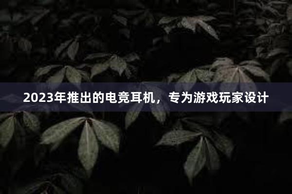 2023年推出的电竞耳机，专为游戏玩家设计