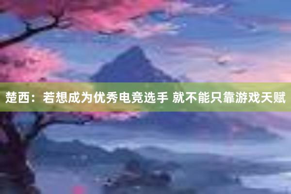 楚西：若想成为优秀电竞选手 就不能只靠游戏天赋