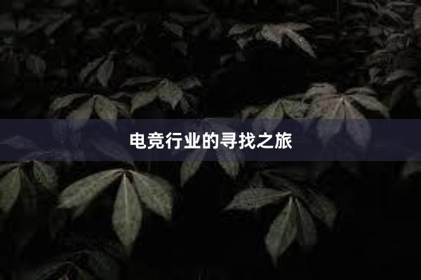 电竞行业的寻找之旅