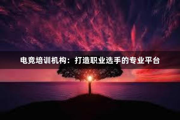 电竞培训机构：打造职业选手的专业平台