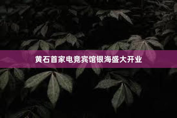 黄石首家电竞宾馆银海盛大开业